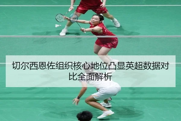 qie-er-xi-en-zuo-zu-zhi-he-xin-di-wei-tu-xian-ying-chao-shu-ju-dui-bi-quan-mian-jie-xi-2-310.jpg